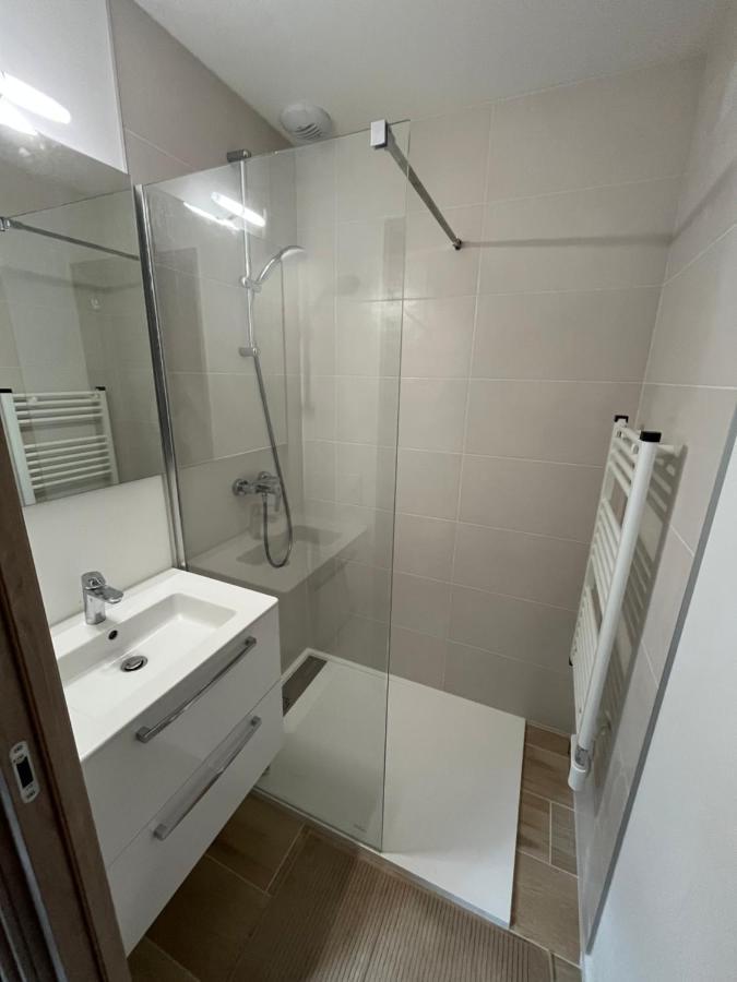 Appartement Aux Pieds Des Pistes De Ski Laveissière Exterior foto