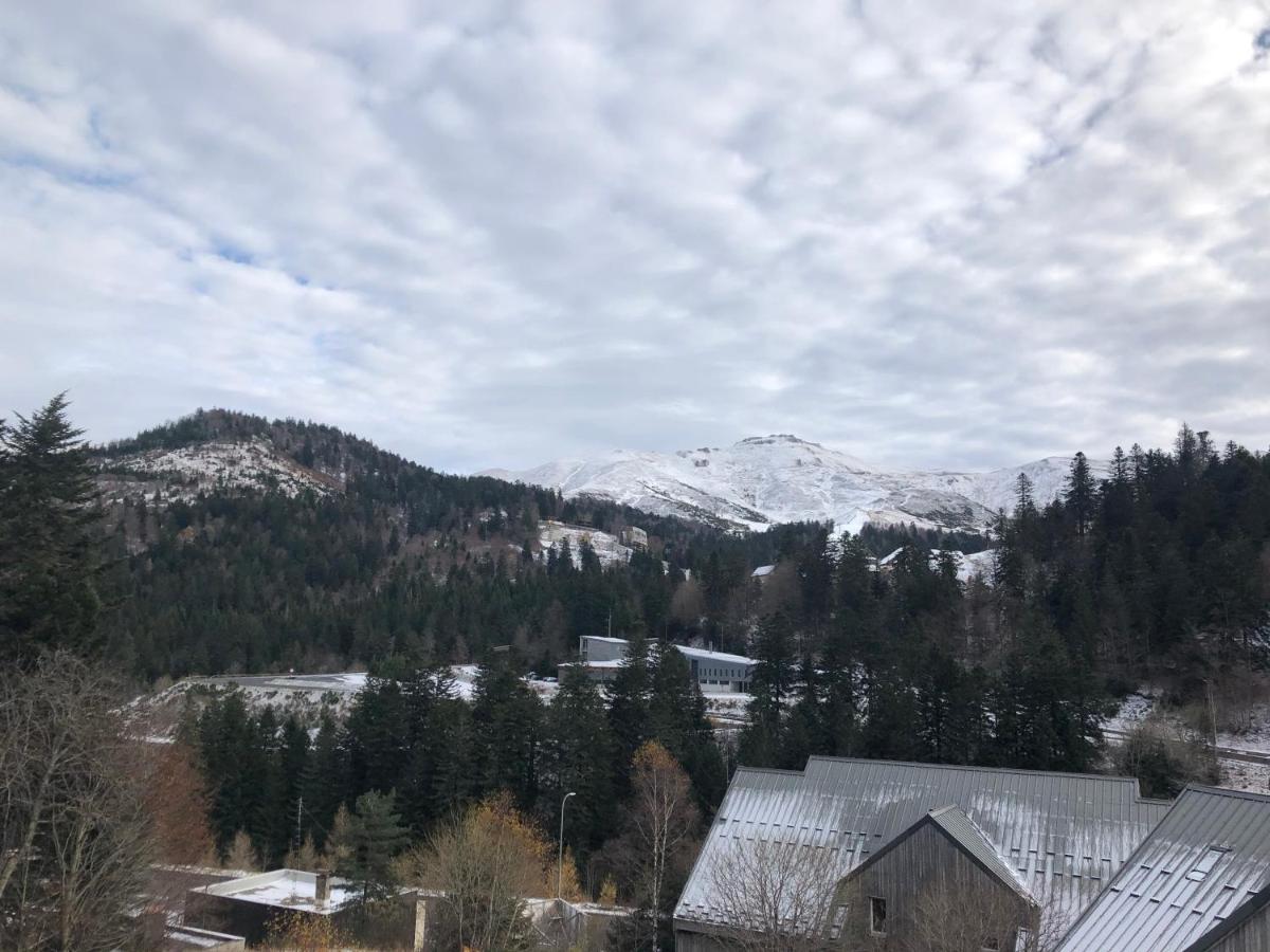 Appartement Aux Pieds Des Pistes De Ski Laveissière Exterior foto